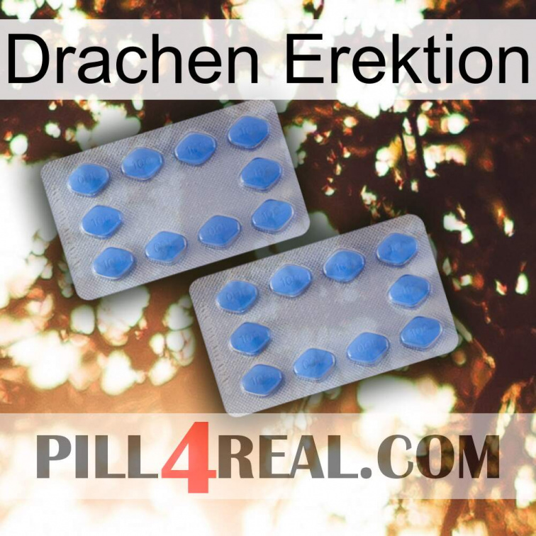 Dragon Erection 20